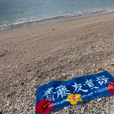 0105_4832_0203's profile picture. ＼ Fs#48 #85 E#42 Ys#00 ／