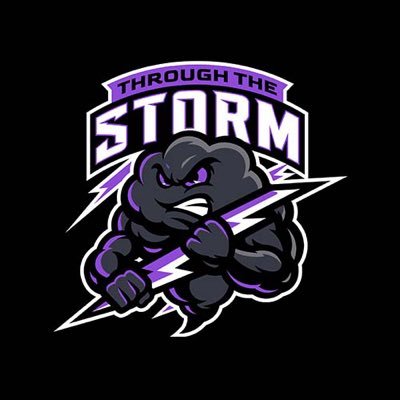 ThroughTheSTRM's profile picture. 