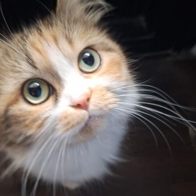 Vaybar287780's profile picture. 