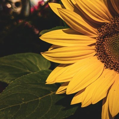 nmn6441's profile picture. إنـه الله مايُؤخر إلا ليُعوضكَ 🤍