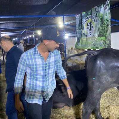 alfredotraderr's profile picture. 