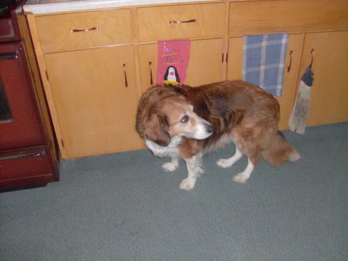 Msb00tz's profile picture. 