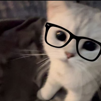 Dxcc231Cc's profile picture. 