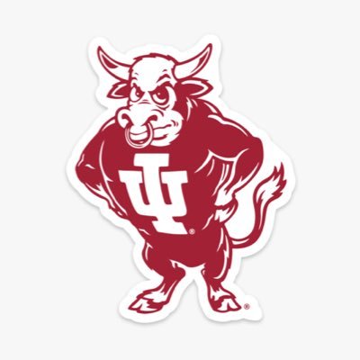 trvlngwlbry's profile picture. No longer #StuckinOhio but follow #iubb & #steelers