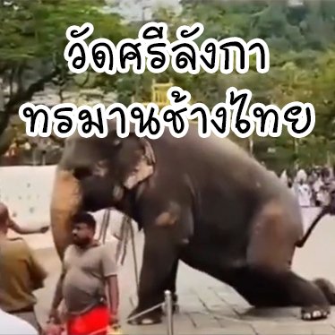 stopcredulity2's profile picture. รื้อทิ้งทัศนะเผด็จการ ปลูกฝังวัฒนธรรมประชาธิปไตย เปลี่ยนดินในฟาร์มต้นเผด็จการ ให้กลายเป็นดินสำหรับต้นประชาธิปไตย
งดด่าแบ่งแยกประชาชน