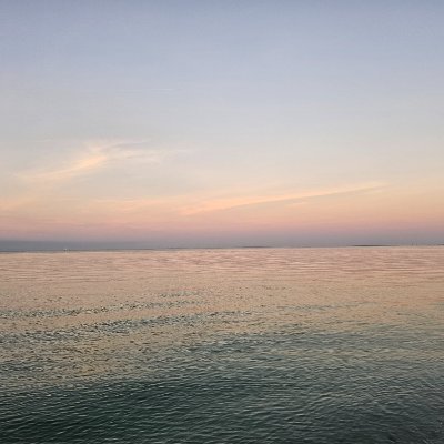 FLPJ_Mills15's profile picture. Florida man