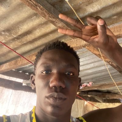 Alieucamar65752's profile picture. 