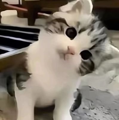 nvayosk's profile picture. gizi 2021 || 
just for clean account.
aku kelahiran 2003 y.