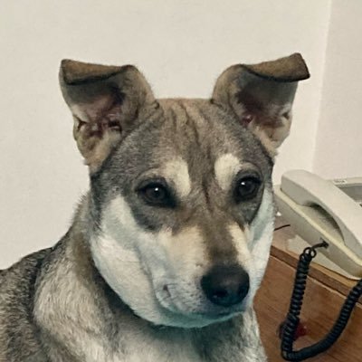 GaneshN26853129's profile picture. 