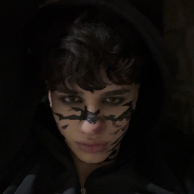 thalyshonoratoo's profile picture. 🐍