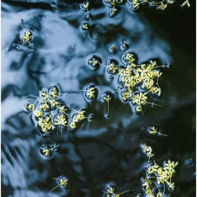 goodluckkik's profile picture. 希望能够认识更多新朋友！