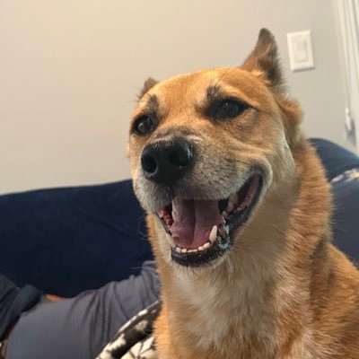 I won’t back down 🇺🇸 🙏🏻💙🇺🇸❤️🇺🇸🙏🏻👠 Profile