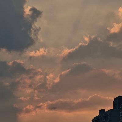 ziho148771's profile picture. 