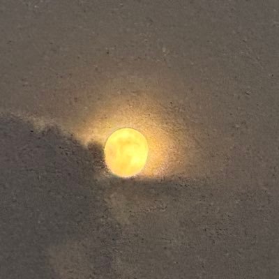 Harysforu's profile picture. 