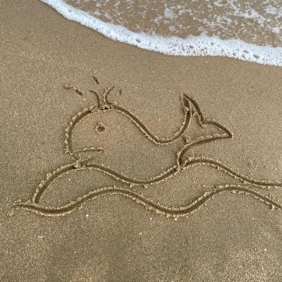 whale_eyea's profile picture. 海と海の生き物が大好きで、しっかり守っていきたいです！🌊🐬
スイーツやベーカリー、そして美しいものすべてが好きです〜🍰🧁