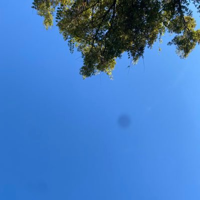 saoi_251106's profile picture. 