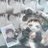 _kei_______chan's profile image