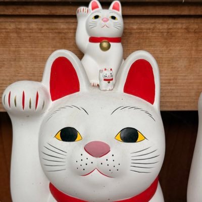 CSY05081996's profile picture. よろしく