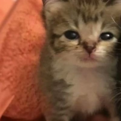 shalettazip's profile picture. davendraholic. 🌷