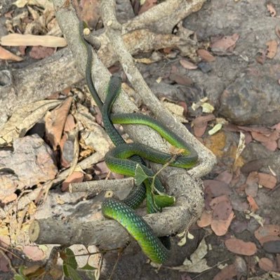 keitamodou287's profile picture. I love God