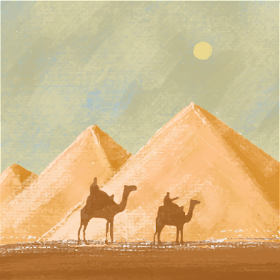 HmbTamim45971's profile picture. 