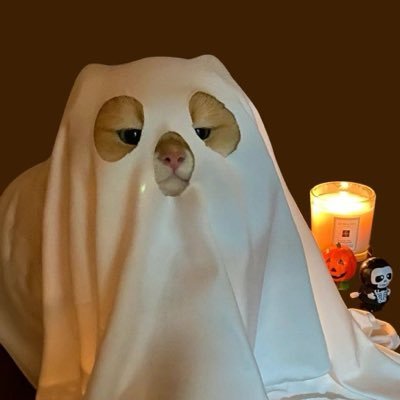 Sopitas238224's profile picture. 