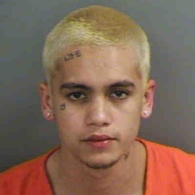 FLdabbler's profile picture. Dabbler from the great state of Florida. Gulf Coast supremacy! 239 4Life! #gobolts #WeAreTheKrewe #GoGators 🐊 #CPFC 🦅 #RepBx