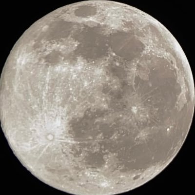 nizihahx's profile picture. 🐎🌺🫧🐚