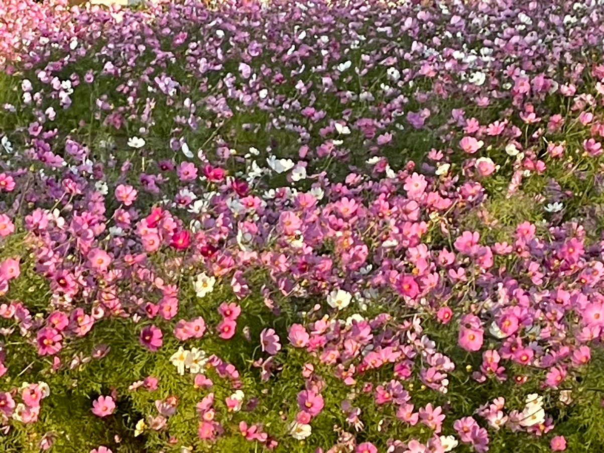 itumonotoko349's profile picture. #覚醒 https://t.co/nwu1YsVspW #覚悟