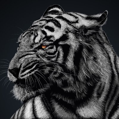 Zuki8881's profile picture. Crypto