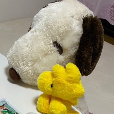 ukjHerYhPnDnMhN's profile picture. 育児初心者パパ|愛妻家|目標は英国紳士| 家庭連合|信教二世|趣味健康|アニメ好き|スポーツ好き|KPOP好き|韓国語勉強中