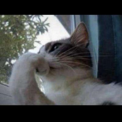 Mikeyy_xl's profile picture. 