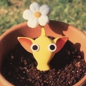 pinnaparq's profile picture. i'm pinna