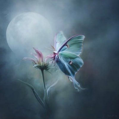 ll_lonly's profile picture. Still a hardcore hater of F*kshu Chomu Navri 😎