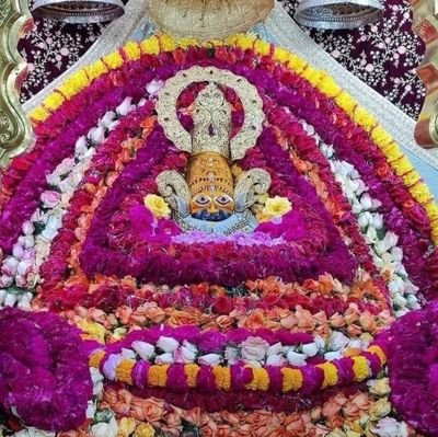 PalashDixit6's profile picture. 