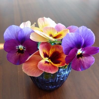 otomamah0_0's profile picture. 寛解して夢から覚めた
言語凸長男&夫VS動作凸次男&私
我が家は今日も賑やか