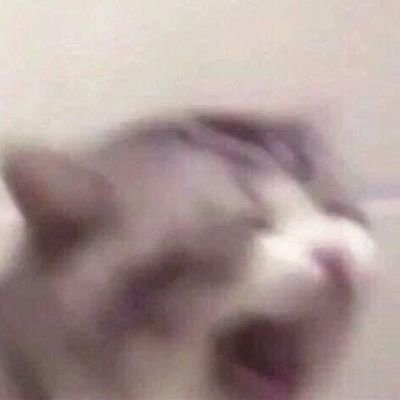 mizushiiii_'s profile picture. a stan acc