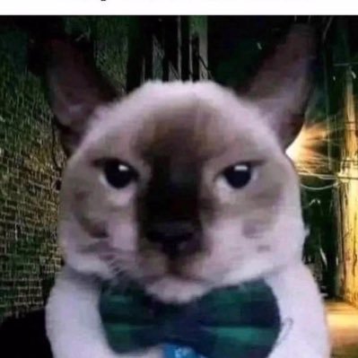 slezorbx's profile picture. MDNI