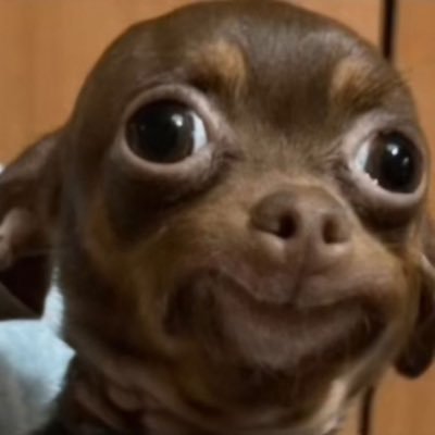 millie_gr18's profile picture. 🇲🇽⚜️