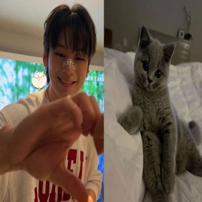 fujo4shse's profile picture. phd in fujomaxxing with concentration in yaoimaxxing