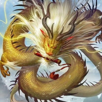 WXD143241's profile picture. 看看消息。