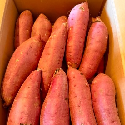 myway_sweetcp's profile picture. エンジニア歴30年。小田原に移住しAI駆動開発の会社を経営してます。一社上場、一社M&A。フルスタックエンジニアとして各種プロジェクトお手伝い。海外含む複数拠点生活。サーフィン、家庭菜園、サウナ、温泉が趣味です。 焼き芋屋事業も5年前からはじめ、小田原で行列のできる焼き芋屋です。