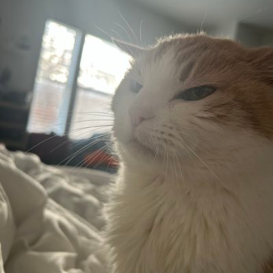 uhhkylie's profile picture. △⃒⃘