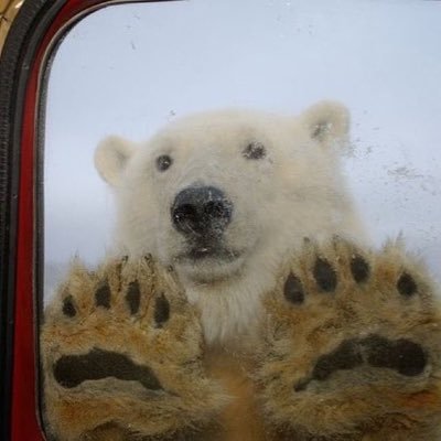 whoandress2's profile picture. hola