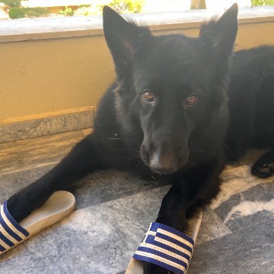 essexbubbz's profile picture. TradFi to Web3 | Privacy pioneer (pre-hype) | Real use cases only | Gooner at heart