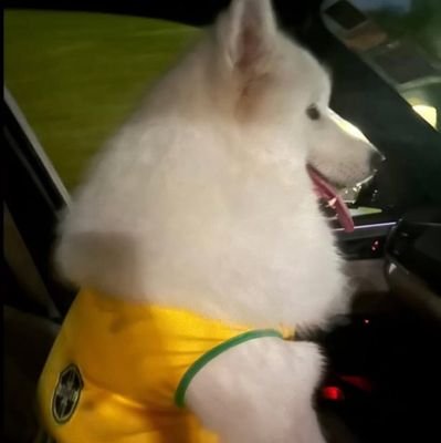 djexdjex's profile picture. 