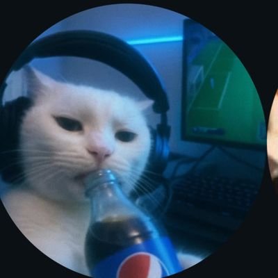 AYOOBBHAT1's profile picture. 'Fixing bugs in my life'
#Kashmir
Dm for #freelance projects
https://t.co/EVdM1QqliN