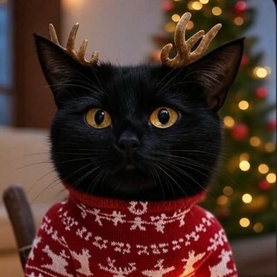 MarbleSirin's profile picture. Бу! Испугался? Не бойся, я друг, я тебя не обижу! Иди сюда, иди ко мне, сядь рядом со мной, посмотри мне в глаза