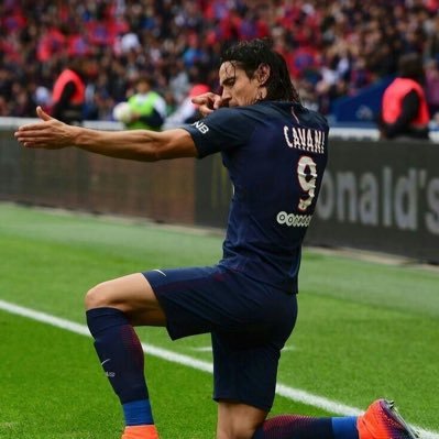 leo953678's profile picture. 