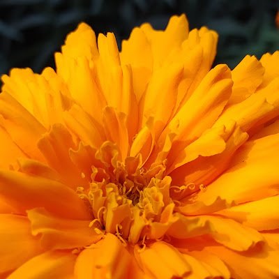 sabbirhosa30714's profile picture. 